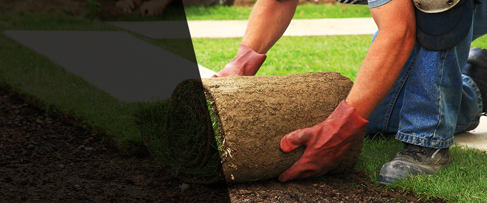 Ingram Landscapers
